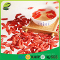 cheap price good Quality Dried Goji berry from China